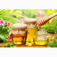 Куплю мёд, продукты пчеловодства