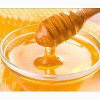 Продаю мёд подсолнечный оптом
