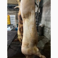 Мясо свинины Одесса стоимость