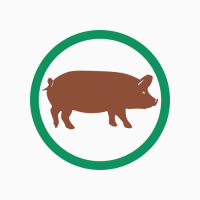 Премикс для свиней, премікс для свиней, ВМАС 3%-2, 5%, ВІДГОДІВЛЯ