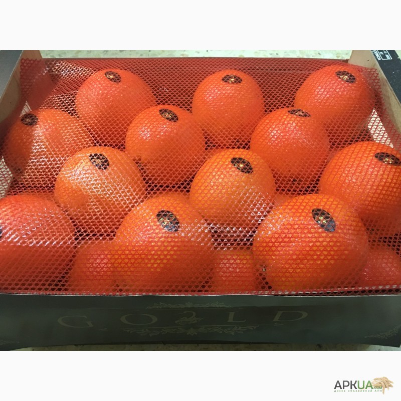 Фото 13. Продаем апельсин из Испании