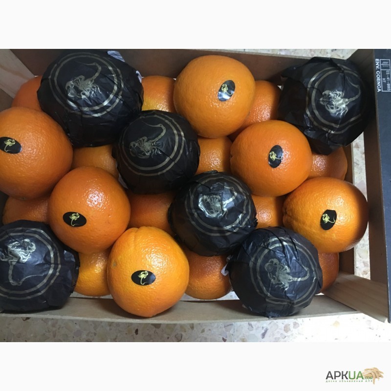 Фото 14. Продаем апельсин из Испании