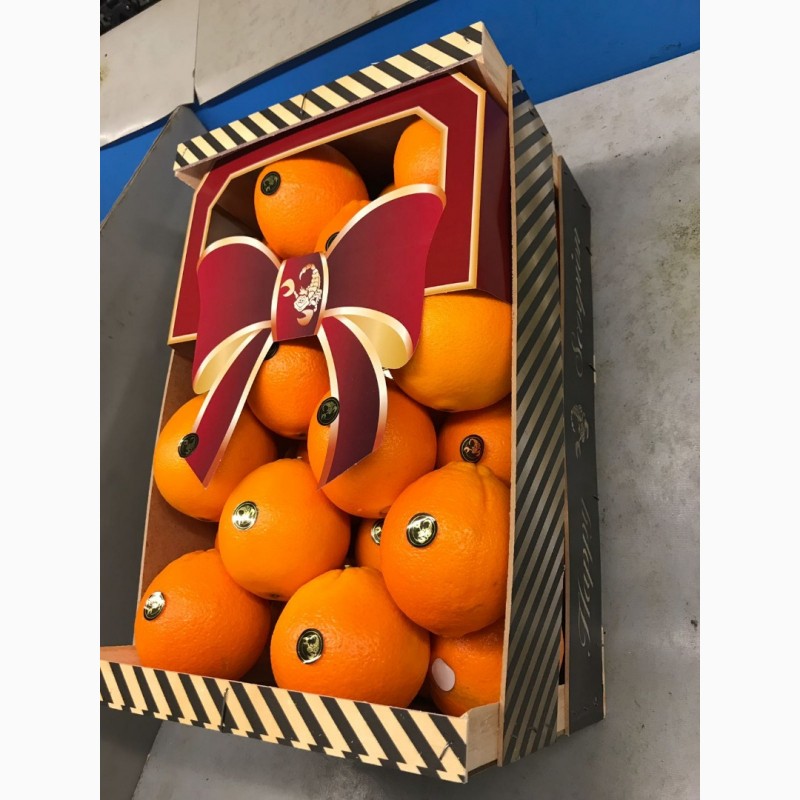 Фото 3. Продаем апельсин из Испании