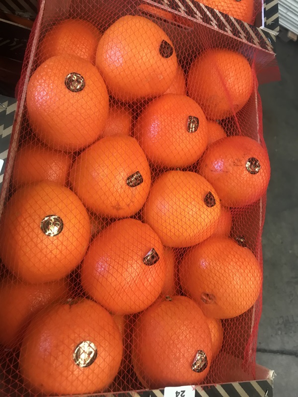 Фото 6. Продаем апельсин из Испании