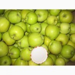 Яблука Флоріна 5 грн