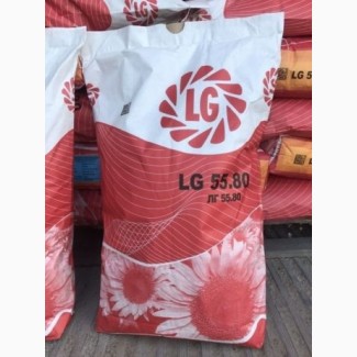 Семена подсолнечника ЛГ 5580