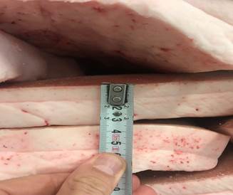 Фото 12. Продам субпродукты говядины и свинины с Испании от 20 тонн