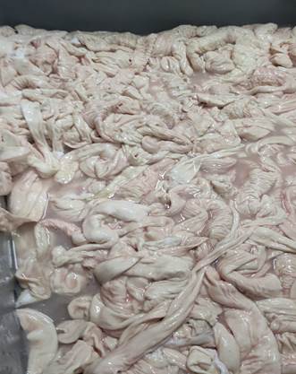 Фото 18. Продам субпродукты говядины и свинины с Испании от 20 тонн