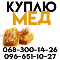 Куплю мед ОПТОМ 63-65 грн/кг Вінницька область