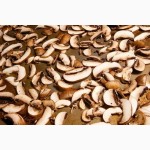СОК Шепітчанка продає гриб білий сушений І-й сорт - 1100грн./кг