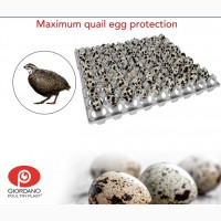 Пластиковый лоток для куриных яиц, лотки для яиц, лоток для гусиных яиц, Київ