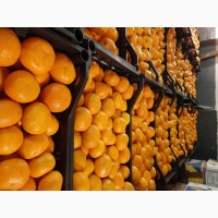 Продам мандарины из Абхазии