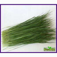 Зубровка трава (сувенирная) 1кг