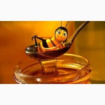 Продам мед подсолнечника 2016г