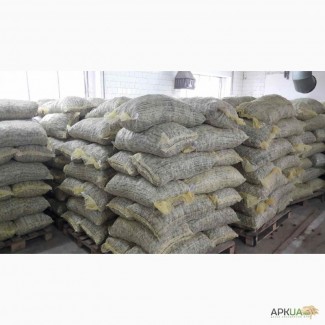 20 тонны грецкого ореха 28+ на экспорт