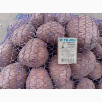 Продам картофель для бюджетных организаций от поставщика