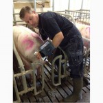 SU10 Ветеринарный Узи сканер для свиноводства