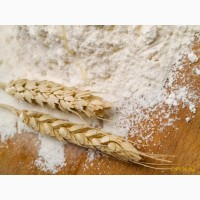 Мука пшеничная высший и первый сорт
