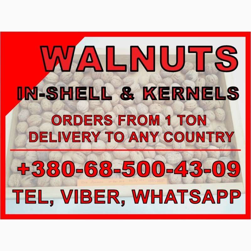 Грецкий орех на экспорт с доставкой Walnuts for export, delivery, Ceviz
