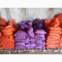 Продам лук - севок, арбажек, тыканка, посадочный лук (Голландия)