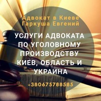Адвокат в Киеве. Консультации адвоката