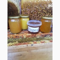 Продам мед лісовий, гречка+ліс, коріандр+різнотрав#039;я ін види меду
