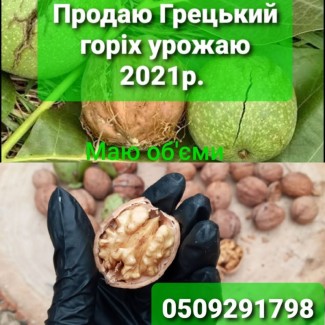 Продаю круглий Грецький горіх урожай 2021р, Полтавская обл