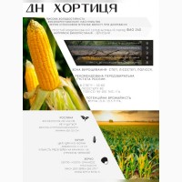 Продам посівний матеріал кукурудзи, гібрид ДН Хортиця