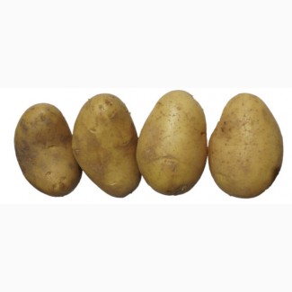 Екологічно чиста картопля з персональною доставкою