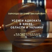 Юридическая помощь в Киеве. Адвокат в Киеве