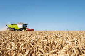 Фото 5. Куплю зерно: пшеницу с вашего региона