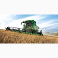 Закупаем Зерновые культуры крупным оптом, Пшеница 2021 года
