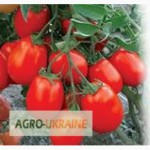 Семена Арбузов весовые и пакетированные от производителя