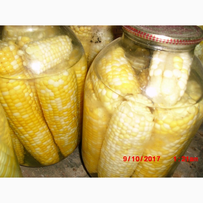 Фото 5. Продам насіння цукрової кукурудзи