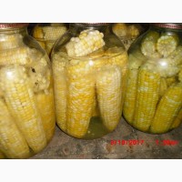 Продам насіння цукрової кукурудзи
