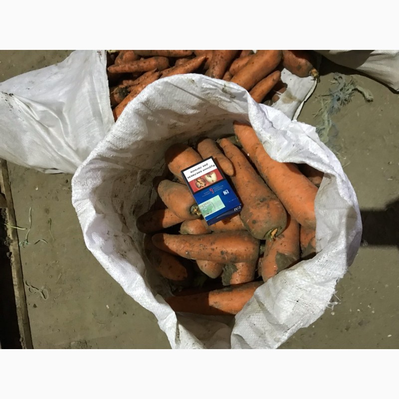 Фото 4. Продаем первосортную морковь