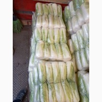 Продам капусту пекінську сорт білко