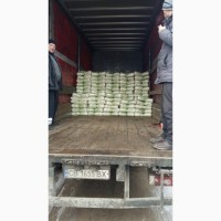 Продам капусту пекінську сорт білко