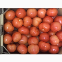 Предлагаем помидоры тепличные разных сортов. Лук. Опт