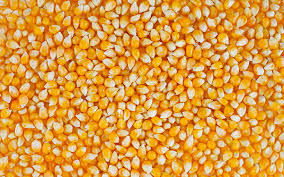 Фото 3. Пропонуємо портії зерна на умовах FCA або DDP
