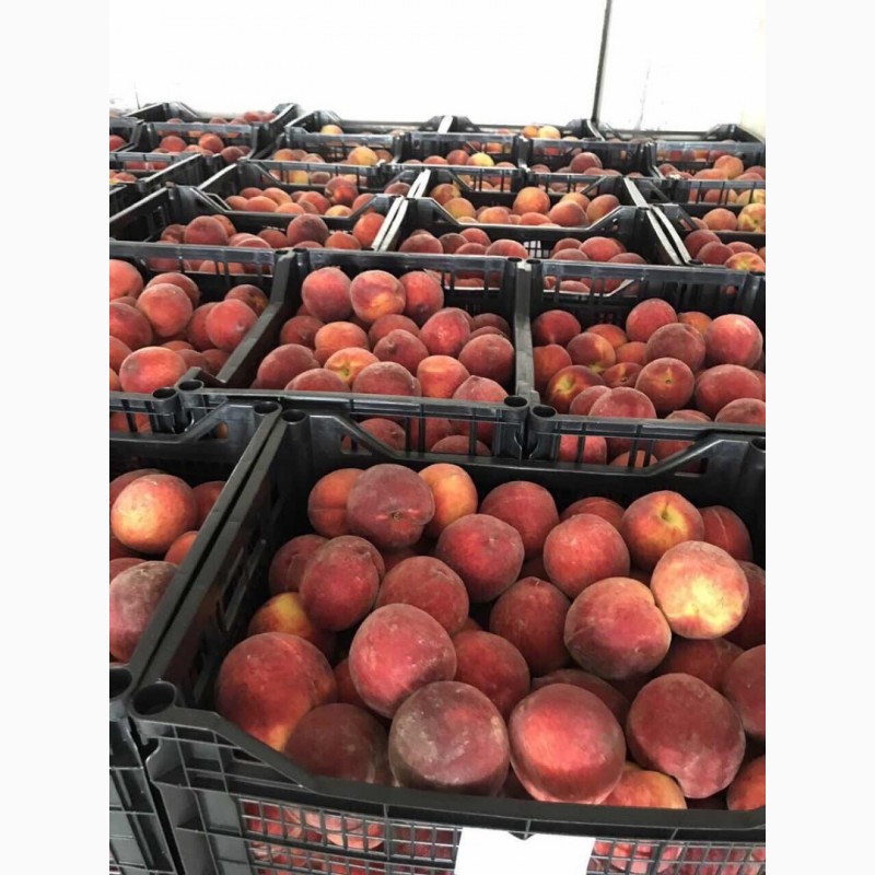 Продам персики и нектарин из Греции