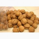 Продам орех на бой урожай 2018