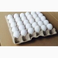 Продам яйца куриний с0с1с2