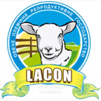 Продам племенных овец французкой молочной породы ЛАКОН (lacaune)
