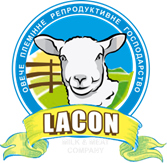 Продам племенных овец французкой молочной породы ЛАКОН (lacaune)