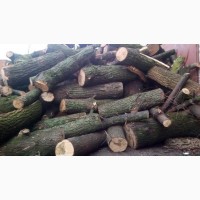 Купуйте метрові дрова Рожище | Рубані дрова від виробника