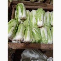 Продам капусту пекінську холодильник 100% якість