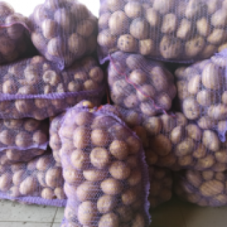 Продам товарну картоплю від виробника сорту Арізона