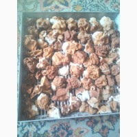 Продам сушенные грибы строчки 2021 г сбора