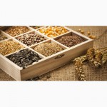 Закупка зерновых и масличных культур